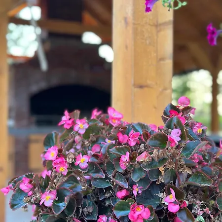 Daisy شقة بانيا لوكا