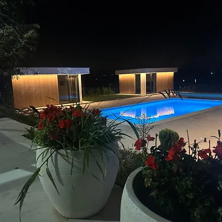 Daisy * بانيا لوكا